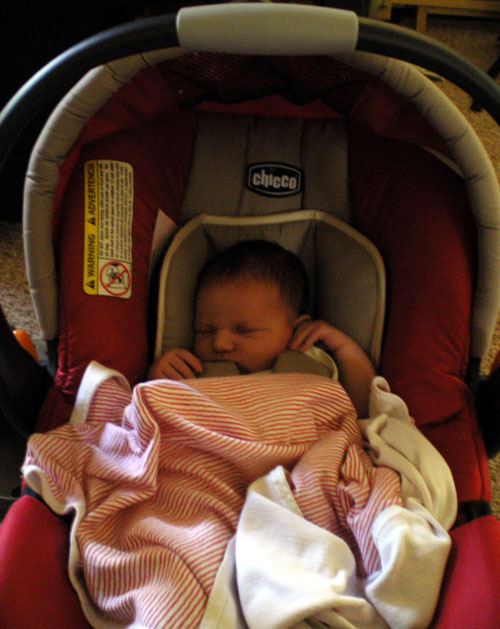 In the carseat
